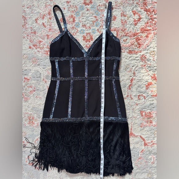 Basix Black Label Fringe and Beaded Mini Dress, size 6 - Picture 5 of 11